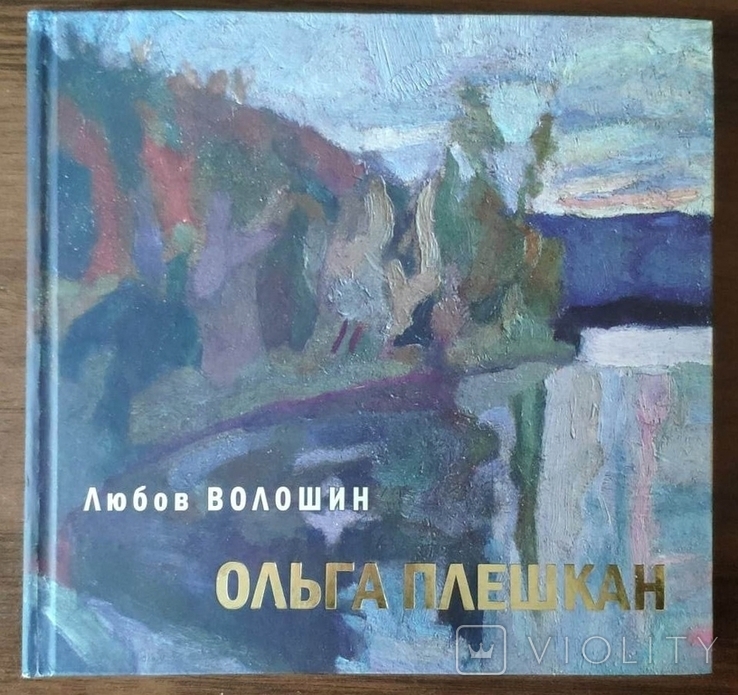 Ольга Плешкан. Пейзаж з копицею сіна, фото №7