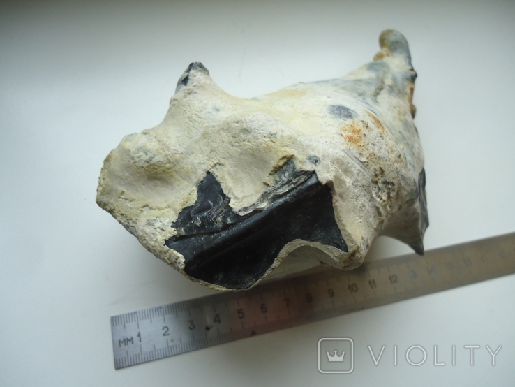 Flint with fossils.1kg., photo number 9