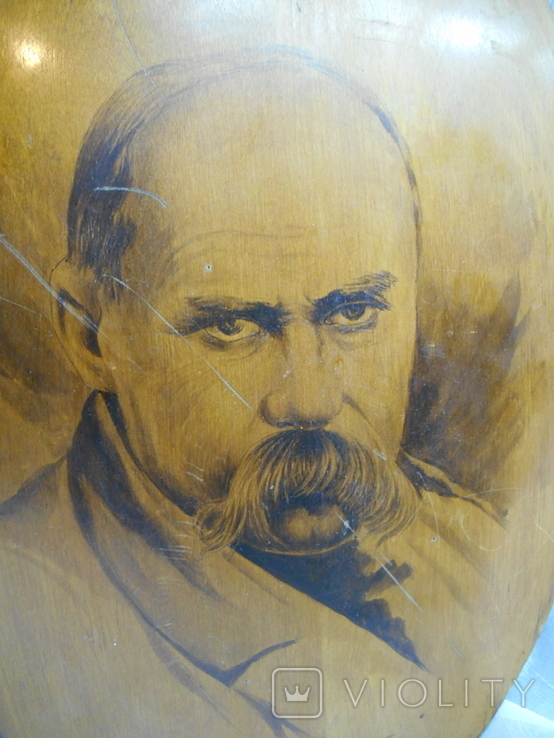 Portrait of Taras Shevchenko, photo number 5