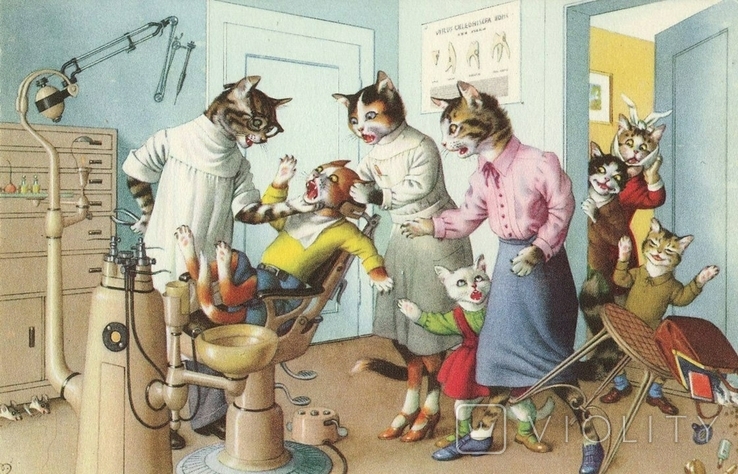 Cat with kittens at the dentist's appointment.