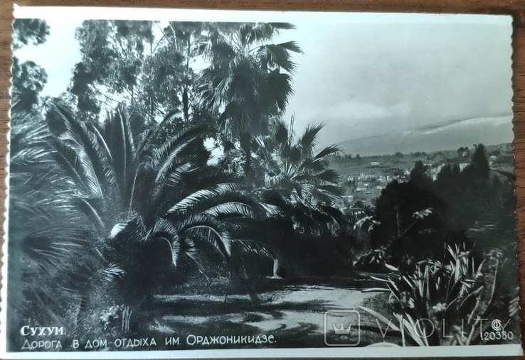 Довоєнна листівка «Сухумі. Дорога до будинку відпочинку імені Орджонікідзе» 1935 р., фото №2