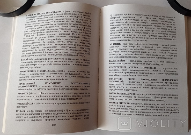 Dictionary for the training of future specialists in the social sphere. 100 copies., photo number 13