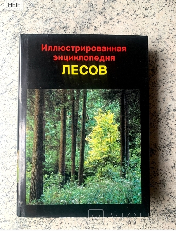 Иллюстрированная энциклопедия лесов, photo number 2