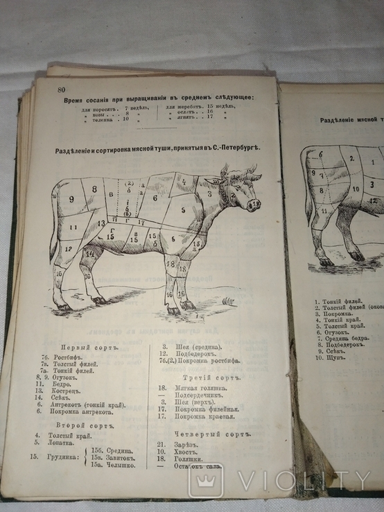 Agricultural and economic calendar of 1905., photo number 4