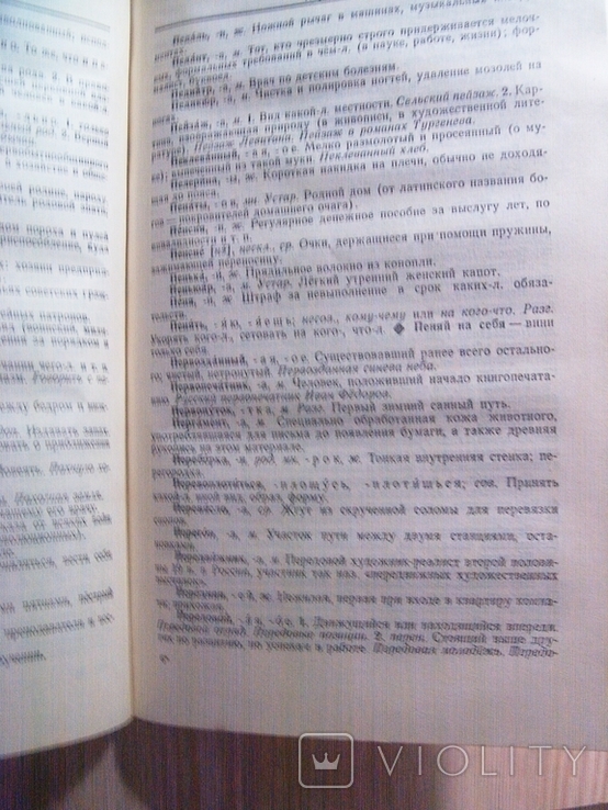 Explanatory dictionary of the Russian language, photo number 5