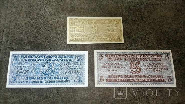 High-quality COPIES c / W c V / Z 1941-1942 Ukraine under German occupation, photo number 5