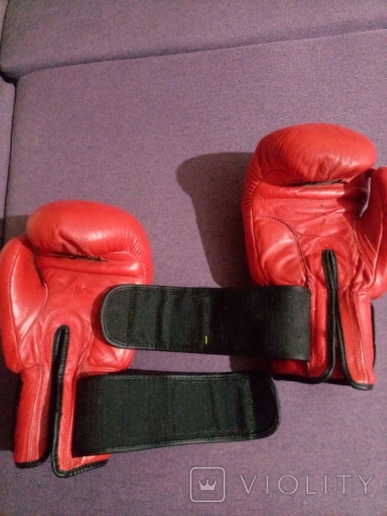 Боксерські рукавички Benlee, photo number 4