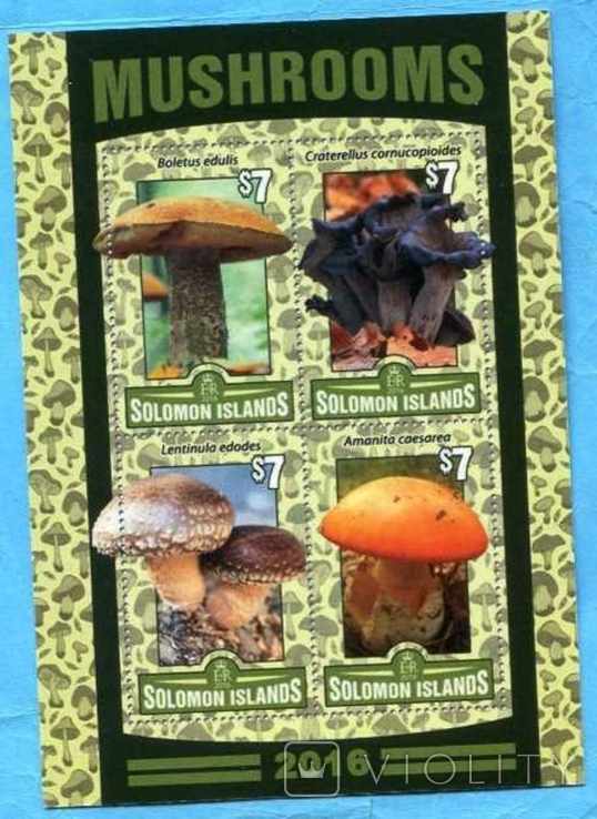 Philately brand Belgium mushroom mushrooms, photo number 2