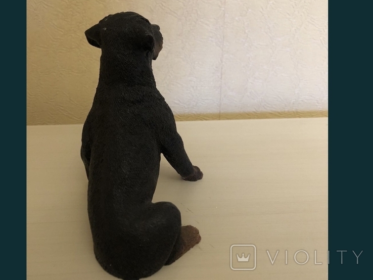 Статуетка: Собака, Ротвейлер, Італія, Кастанья, фото №5