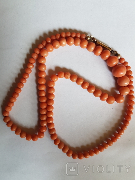 Bushi coral, coral beads, photo number 5