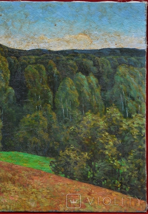 Картина Іванов В.А. "Лісовий пейзаж" 1986 рік, фото №4