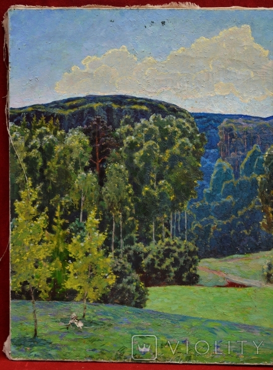 Картина художника Іванова В.А. "Лісовий пейзаж", фото №5