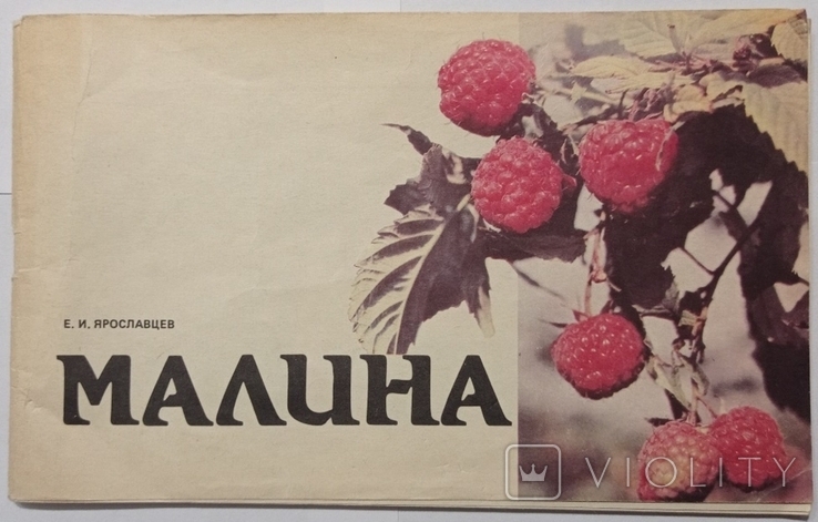 Raspberry (album). 42 p. (in Russian).