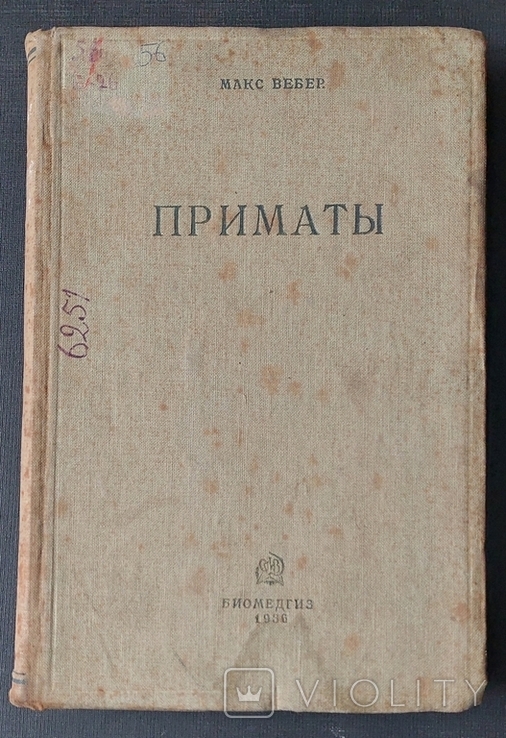 Макс Вебер. Приматы, 1936 г.