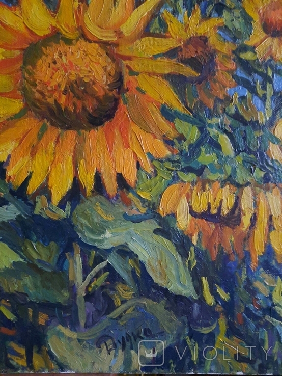 Painting Taras Dudka ''Sunflowers'' 40/50 canvas/oil on canvas 2015, photo number 7
