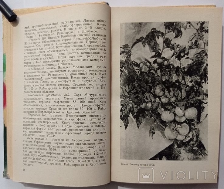 Vegetable grower's handbook (in the steppe zone of the Ukrainian SSR)., photo number 3