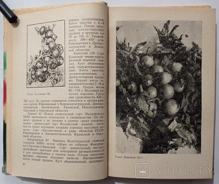 Vegetable grower's handbook (in the steppe zone of the Ukrainian SSR)., photo number 5