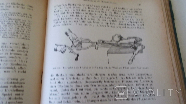 Handbuch der tierrztlichen Geburtshilfe.Berlin-1922, фото №12