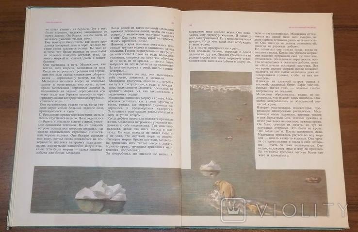 Книга Фрама «Білий ведмідь» 1981, фото №7