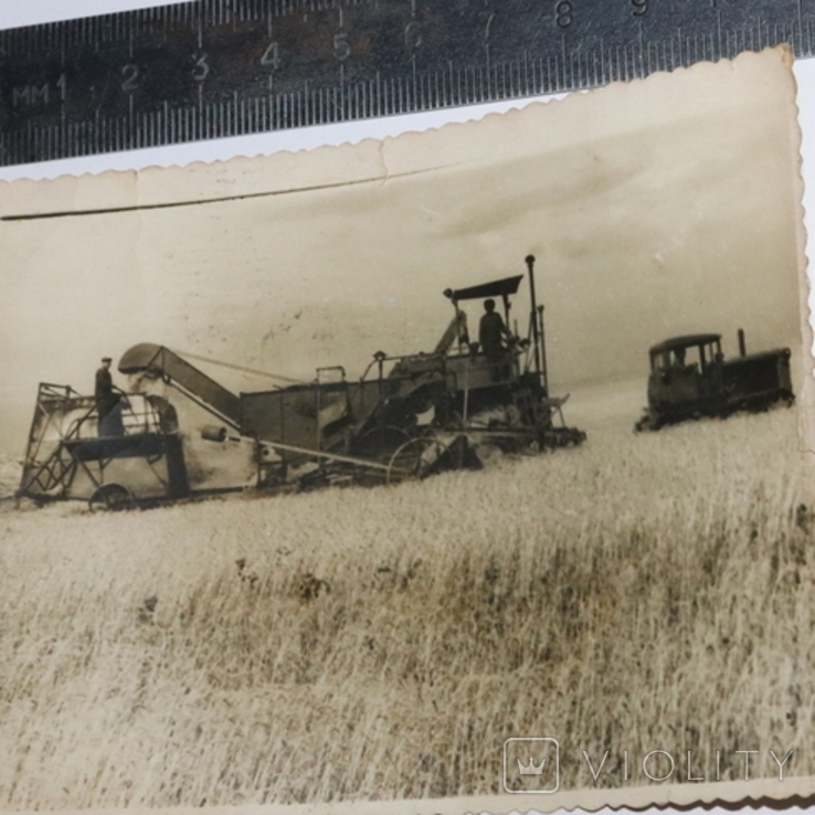 Harvest, photo number 3