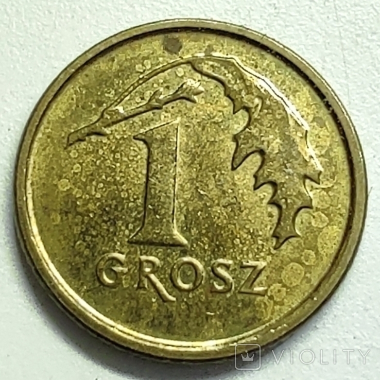 1 грош 2015 Польща, фото №3