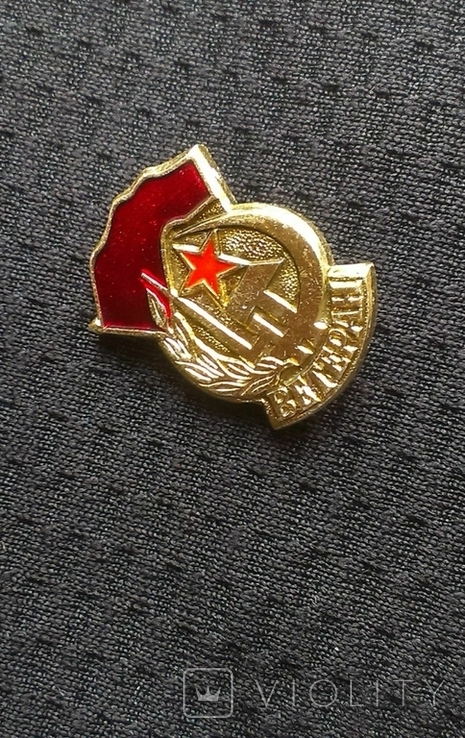 Badge Veteran Hammer Sickle Miniature, photo number 3