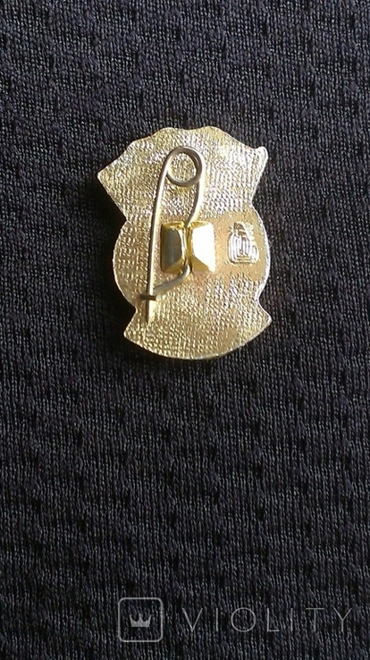 Badge Veteran Hammer Sickle Miniature, photo number 4