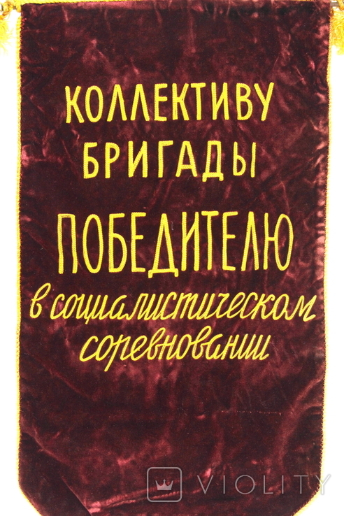 Pennant of the USSR Dnieper Installation Department V / Trust, photo number 4