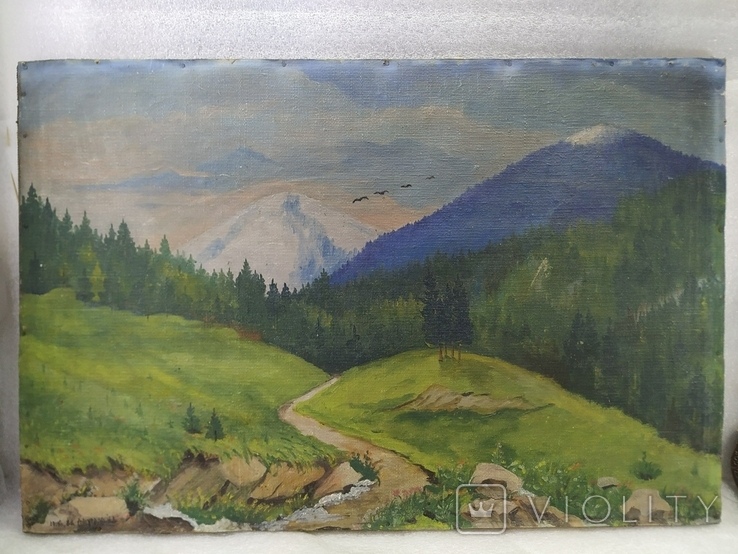 Landscape. Carpathians. 1966. Signature., photo number 3