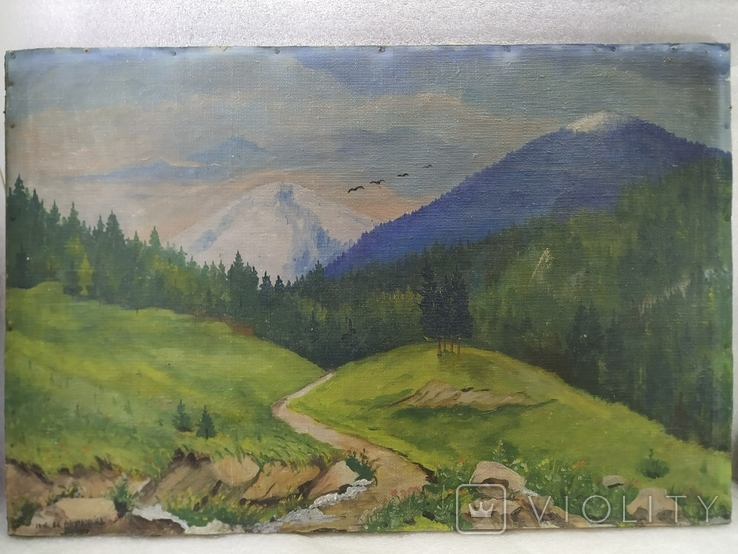 Landscape. Carpathians. 1966. Signature., photo number 4