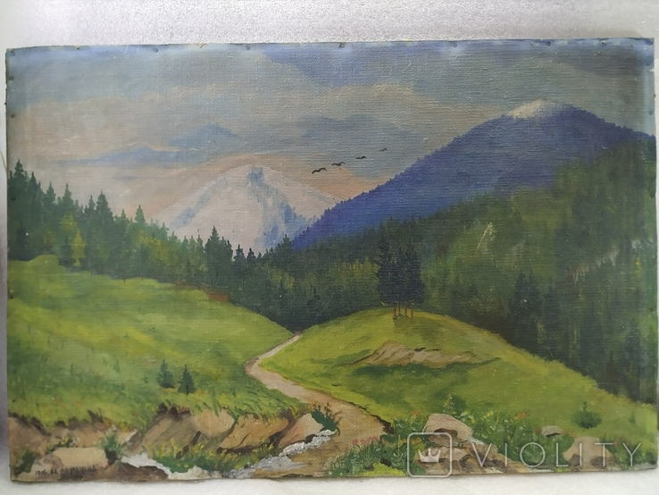 Landscape. Carpathians. 1966. Signature., photo number 5