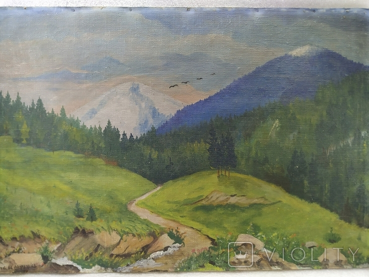 Landscape. Carpathians. 1966. Signature., photo number 6