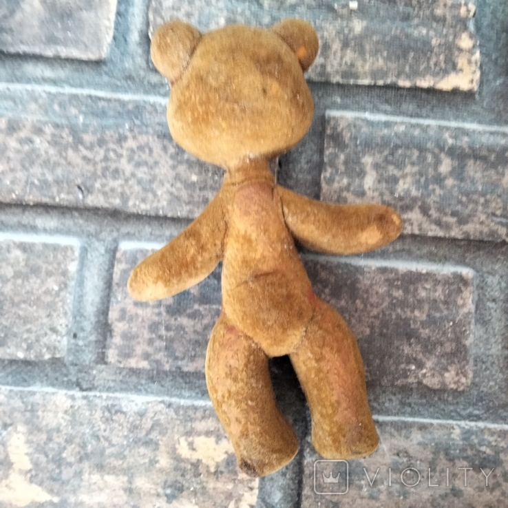 Teddy bear, photo number 3
