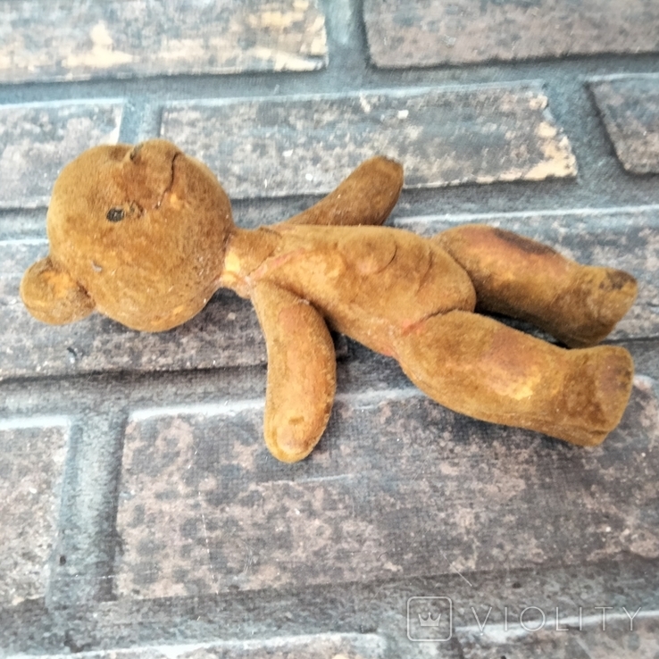 Teddy bear, photo number 5