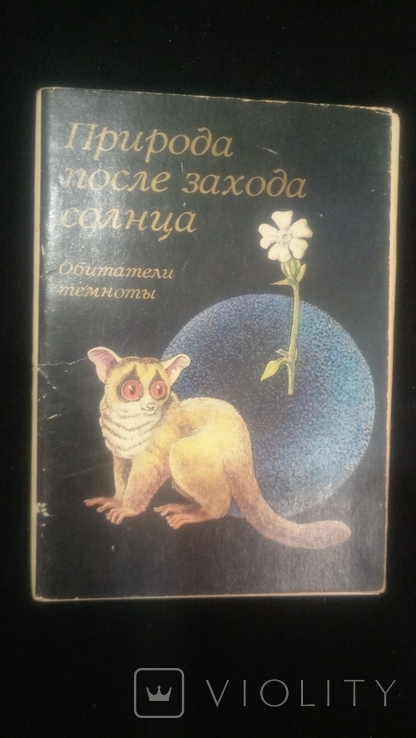 «Мешканці темряви» природи. Набір 16 шт., фото №5