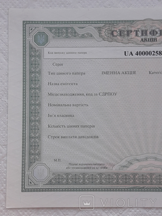 Ukraine share certificate of shares 2007 Blank form, photo number 4