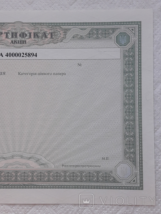 Ukraine share certificate of shares 2007 Blank form, photo number 5