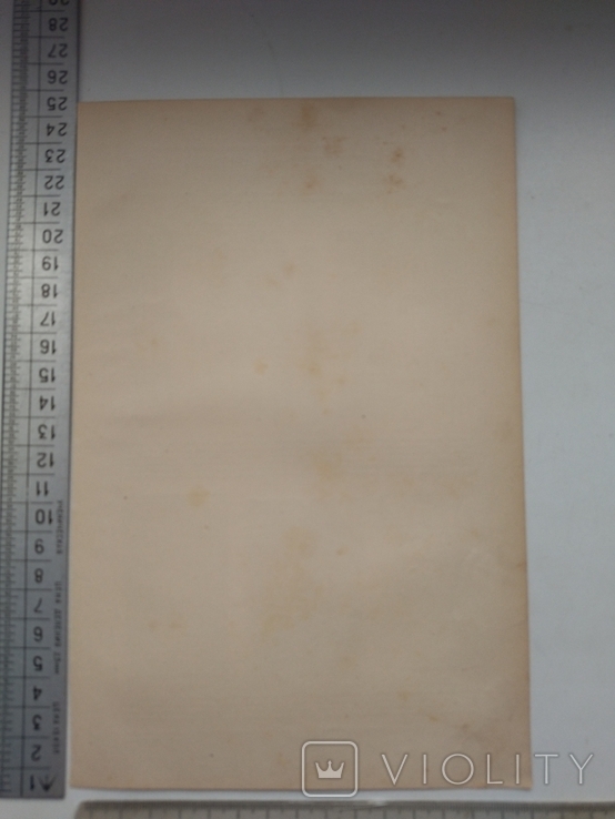 К.2.55 Дореволюционная таблица Древесина, photo number 3
