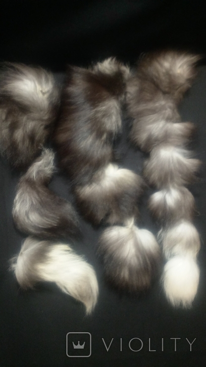 Fur, silver fox tails., photo number 7