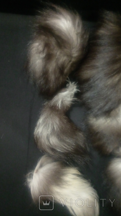 Fur, silver fox tails., photo number 9