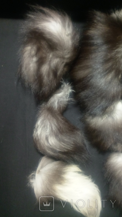 Fur, silver fox tails., photo number 11