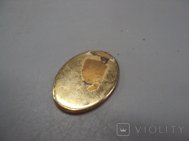 Costume jewelry overlay detail zodiac horoscope Pisces oval metal length 2.5 cm, photo number 6