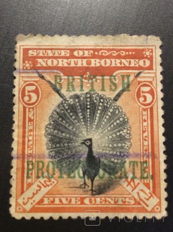 Північне Борнео 1901 (6.9), photo number 2