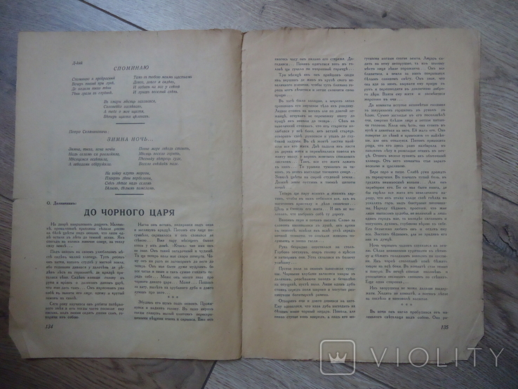 Закарпаття 1941 р Литературная неделя №16, фото №3