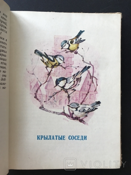 1980 Птицы живут на земле Совы Ласточки, photo number 6
