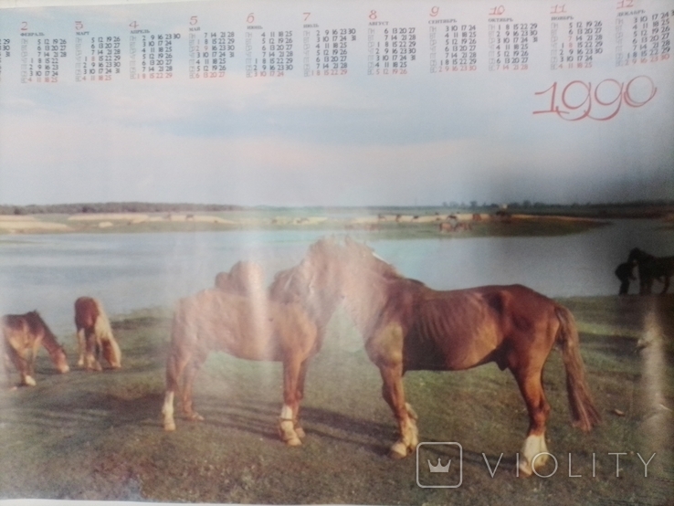 Calendar poster horses, photo number 4