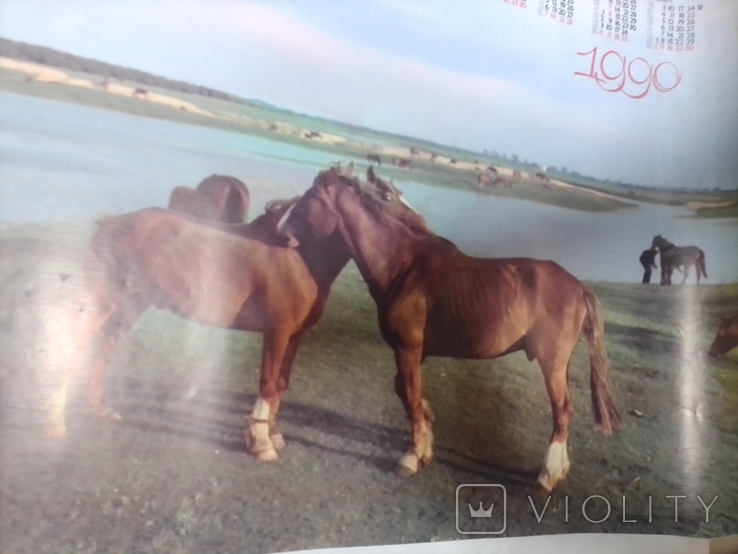 Calendar poster horses, photo number 5