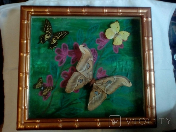 Картина с бабочками, фото №3
