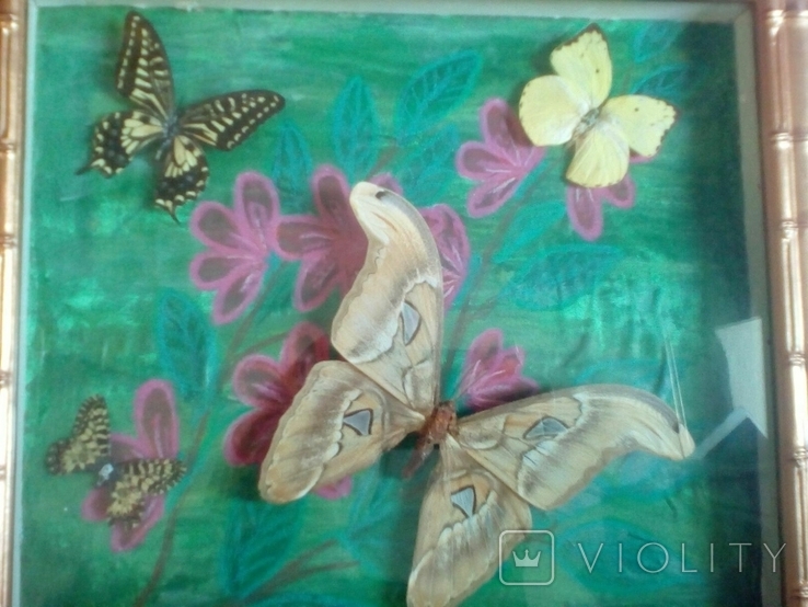Картина с бабочками, photo number 4