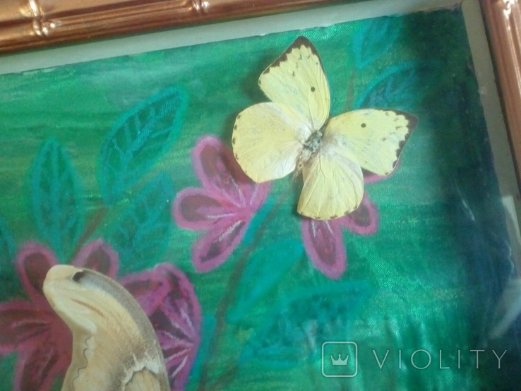 Картина с бабочками, фото №6